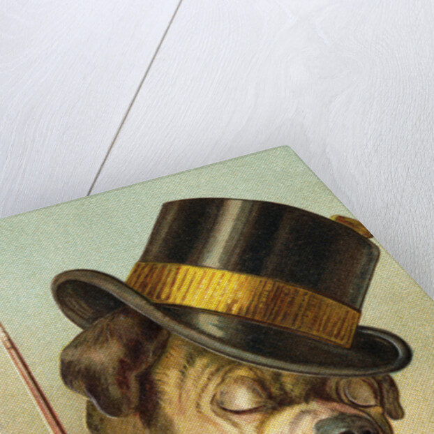 Postcard of a Bulldog Coachman Asleep by Anonymous