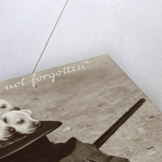 We Hope We're Not Forgotten Photographic Postcard by Anonymous