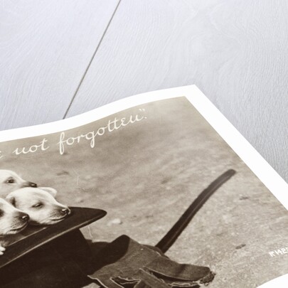 We Hope We're Not Forgotten Photographic Postcard by Anonymous