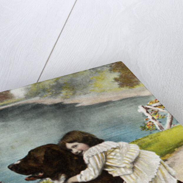 Color Print Postcard Showing Girl Hugging a Bernese Mountain Dog by Anonymous