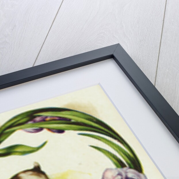 A Token of Love Postcard by Anonymous