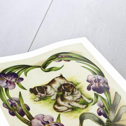 A Token of Love Postcard by Anonymous