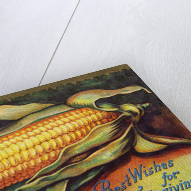 Best Wishes for Thanksgiving Day Postcard by Anonymous