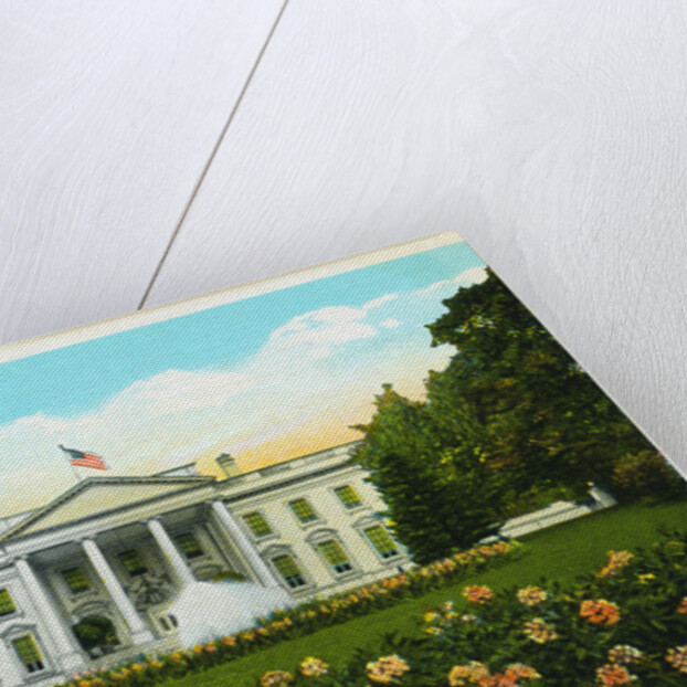 White House, Washington, D.C. Postcard by Anonymous