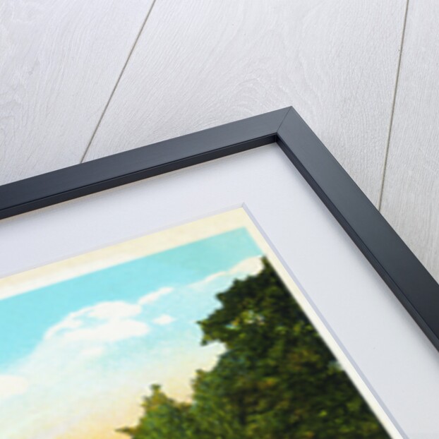 White House, Washington, D.C. Postcard by Anonymous