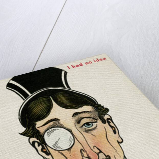 I Had No Idea Postcard by Anonymous