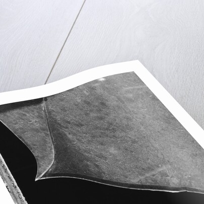 Broken Window Study #4 by Gordon Osmundson