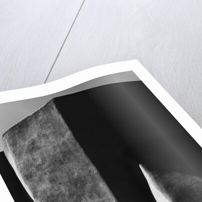 Sun, Shadow, and Adobe #1 by Gordon Osmundson