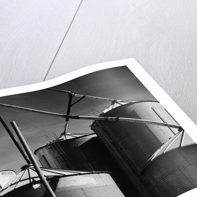 Coop Feeds by Gordon Osmundson