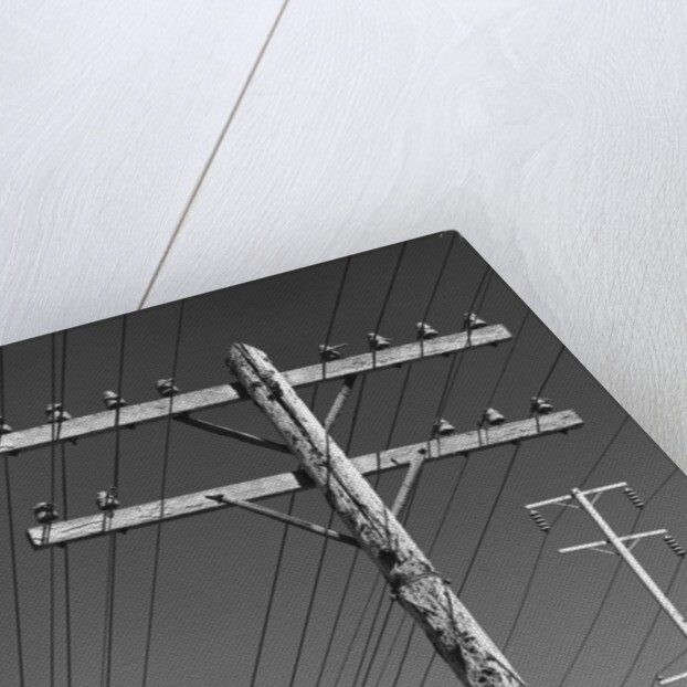 Poles and Wires by Gordon Osmundson