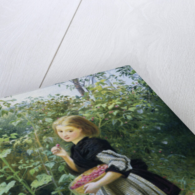 A Garden Harvest by Frederick Smallfield