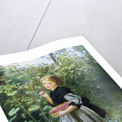 A Garden Harvest by Frederick Smallfield