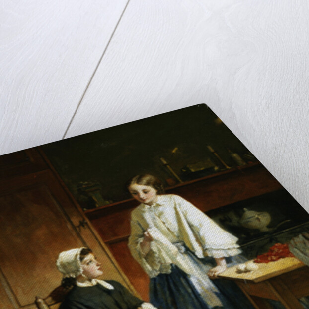 Domestic Instructions by Isidore Patrois