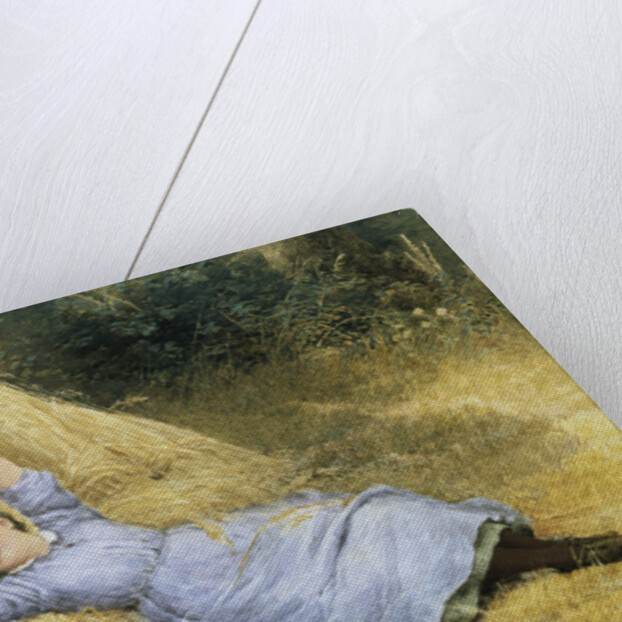 The Farmer's Daughter by Samuel McCloy