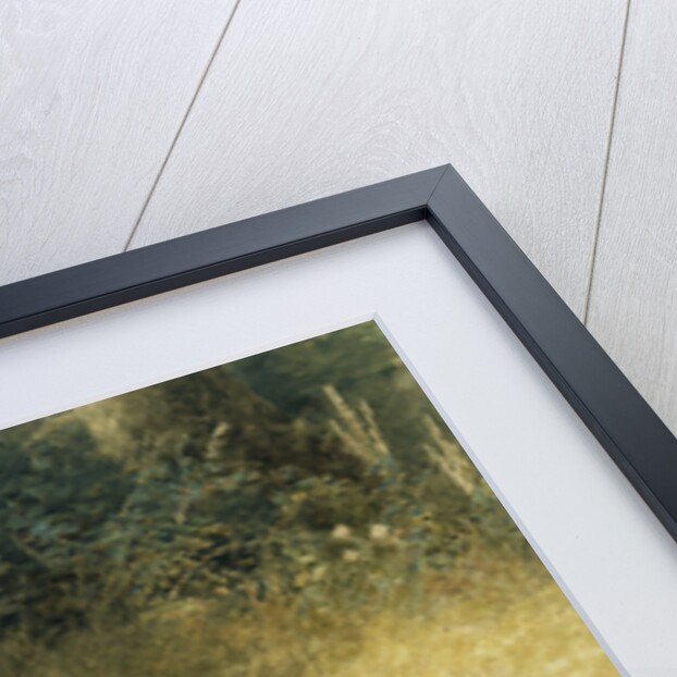 The Farmer's Daughter by Samuel McCloy