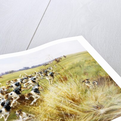 Full Cry! by Thomas Blinks