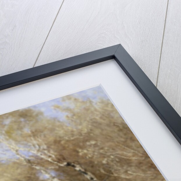 Spring by John Clayton Adams