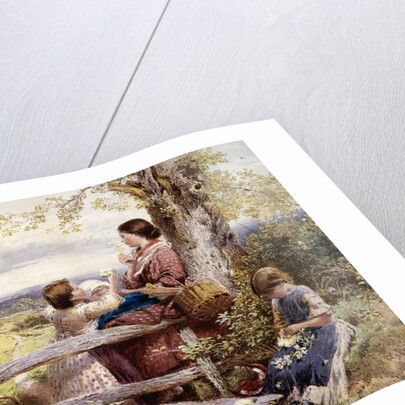 Spring Flowers by Myles Birket Foster