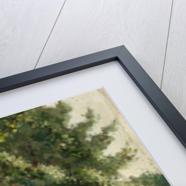 The Poppy Field by Alphonse Asselbergs