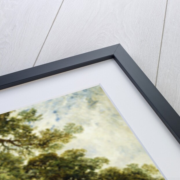 A Trip to the Country by Alfred Joseph Woolmer