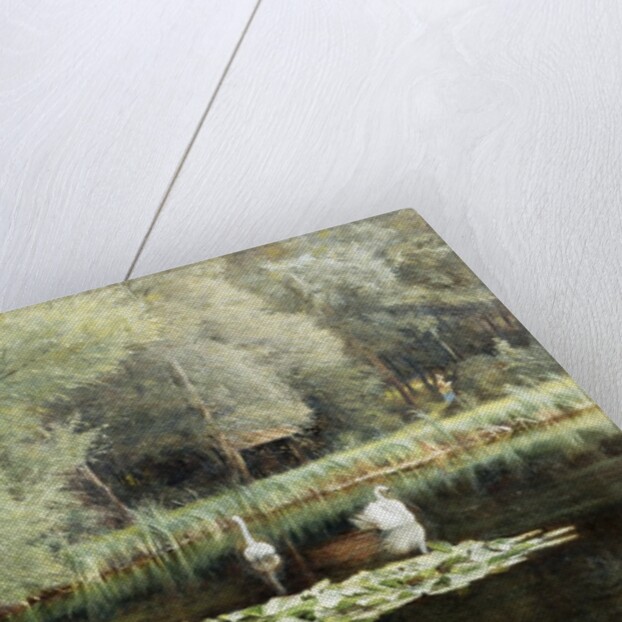 The Lily Pond by Edward R. Taylor