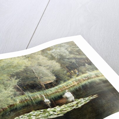 The Lily Pond by Edward R. Taylor
