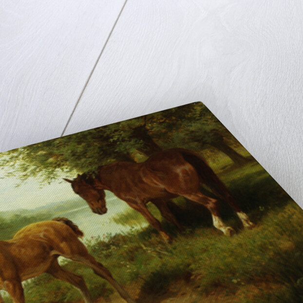 A Mare and Her Foal by Basil Bradley