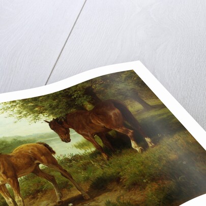 A Mare and Her Foal by Basil Bradley