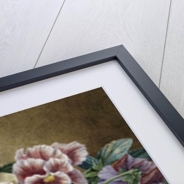 Pansies by Thomas Frederick Collier