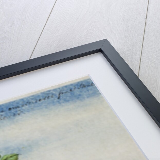 Early 19th-Century Chinese Watercolor of a Hydrangea by Anonymous