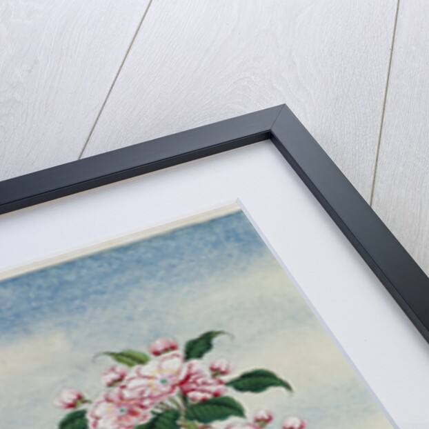 Early 19th-Century Chinese Watercolor of Flowers by Anonymous