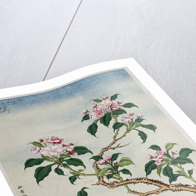 Early 19th-Century Chinese Watercolor of Flowers by Anonymous
