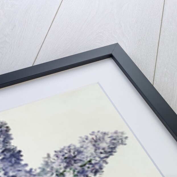 A Study of Lilac and Roses by Madeleine Lemaire