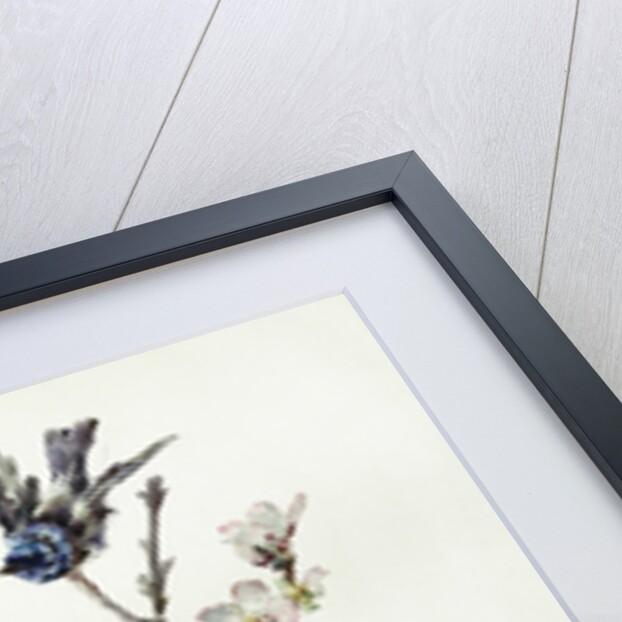 A Study of Heather, Cornflower, and Blossom by Madeleine Lemaire