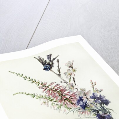 A Study of Heather, Cornflower, and Blossom by Madeleine Lemaire