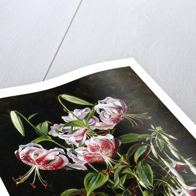 Rubrum Lilies and Fucshias by Johan Laurentz Jensen