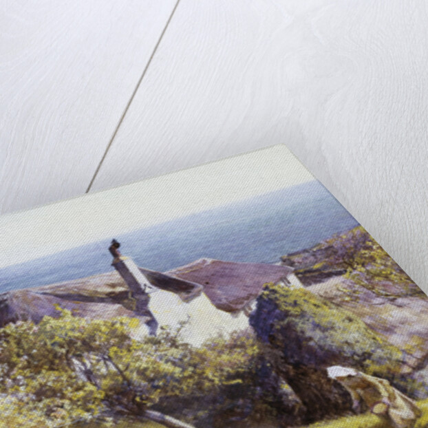 Springtime, Devon by John White