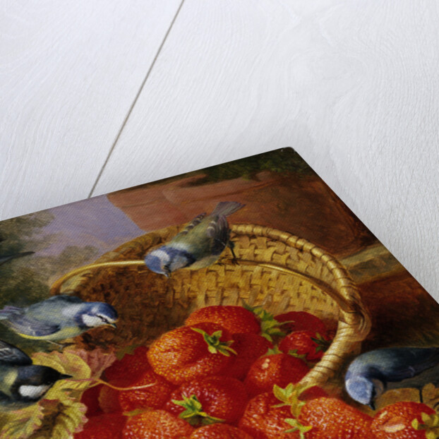 A Feast of Strawberries (Blue Tits) by Eloise Harriet Stannard