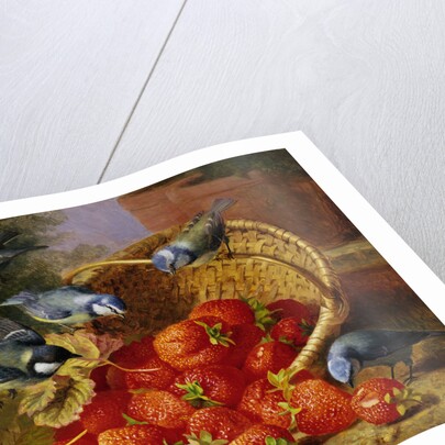 A Feast of Strawberries (Blue Tits) by Eloise Harriet Stannard