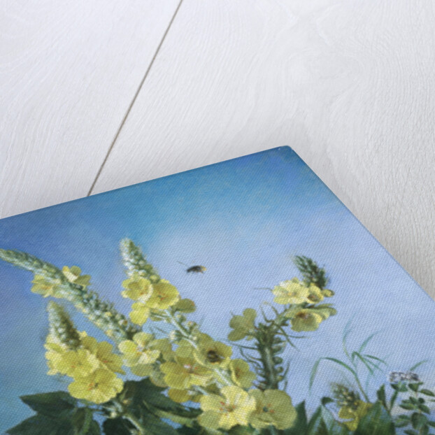 Yellow Flowers in Front of the Blue Sky by Louis-Apollinaire Sicard