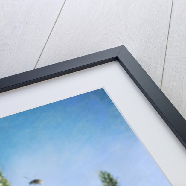 Yellow Flowers in Front of the Blue Sky by Louis-Apollinaire Sicard