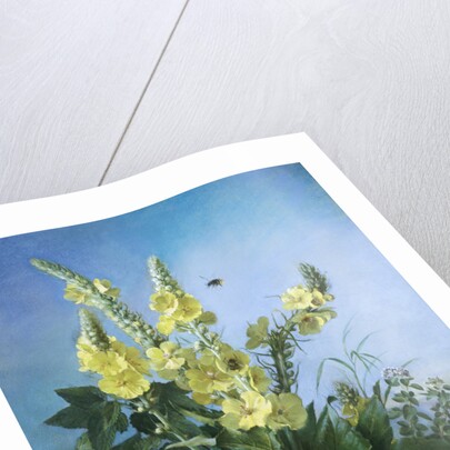 Yellow Flowers in Front of the Blue Sky by Louis-Apollinaire Sicard