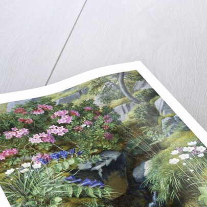 Alpine Flowers by a Stream by Otto Diderich Ottesen