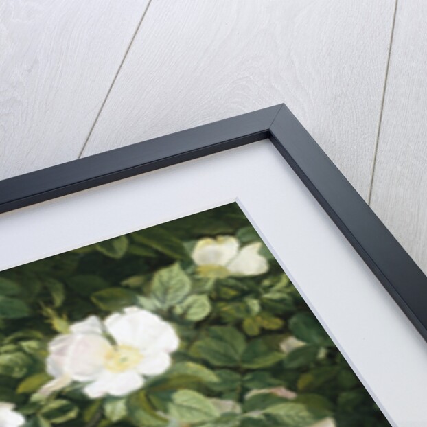 Dog Roses in Flower by Niels Peter Rasmussen