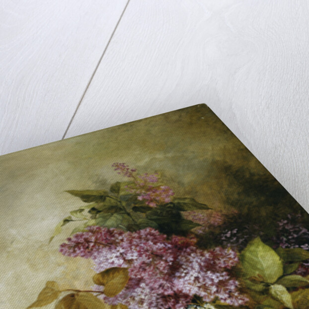 A Study of Lilac by Claude Massmann