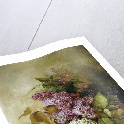 A Study of Lilac by Claude Massmann