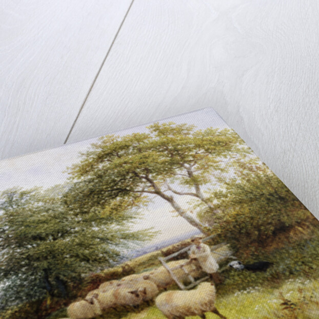 Changing Pastures by George Shalders