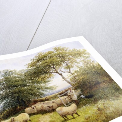 Changing Pastures by George Shalders