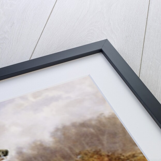 Over the Fence by Warren Williams