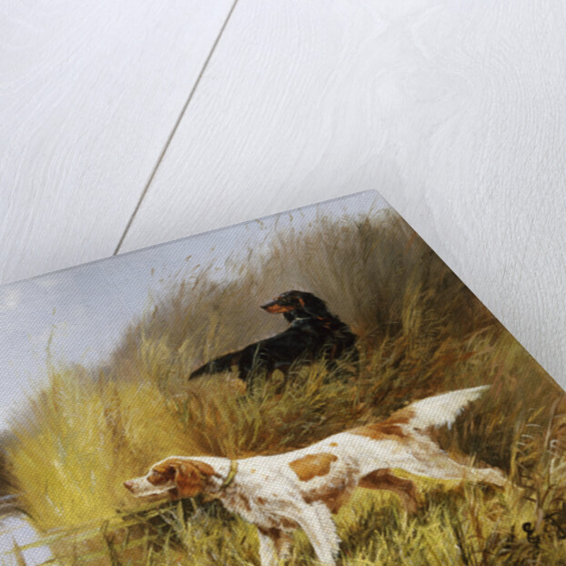 Duck Rising by Eugene Petit